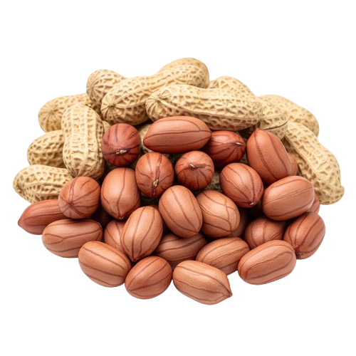 Java Peanuts