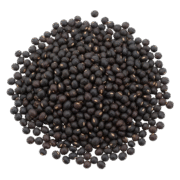 Black Gram