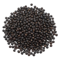 Black Gram