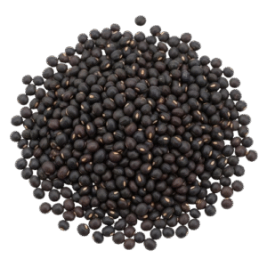 Black Gram
