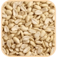 Blanched Peanuts