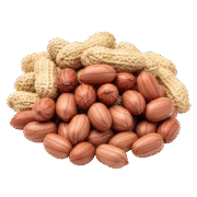Java Peanuts