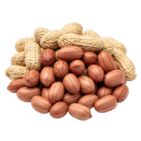 Java Peanuts