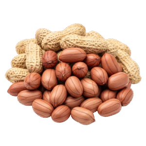 Java Peanuts