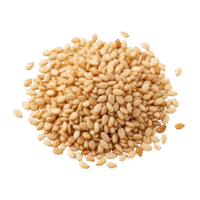 Natural Sesame Seeds Natural Sesame Seeds