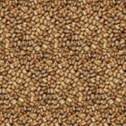 Turkish Gram