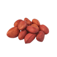 bold-peanuts