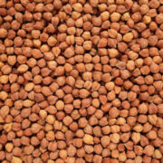 Brown Chickpeas