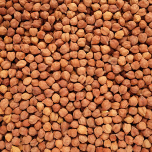 Brown Chickpeas