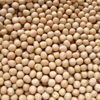Dry Peas Dry Peas