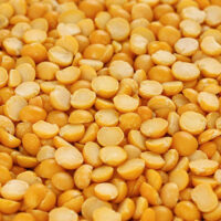 toor dal, skinned and split pigeon pea Split Pigeon Peas