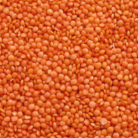 quality-whole-red-lentils-red-split-lentils-099 res pulse